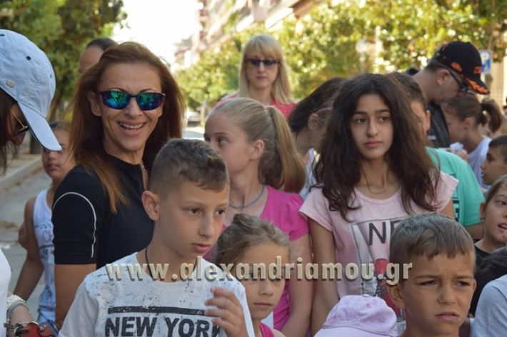 alexandriamou_1_alexandrinos_dromos027